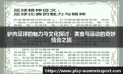 驴肉足球的魅力与文化探讨：美食与运动的奇妙结合之旅